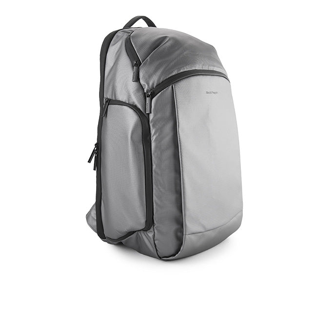 Ash Backpack In Silver