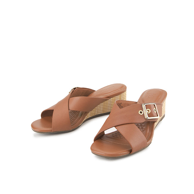 Medaline Nc In Brown