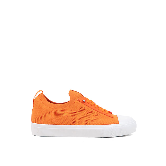 Sneakers Schnoodle