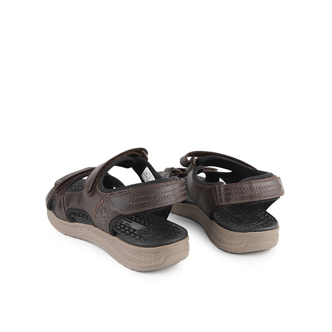 Activate Qtr Strap In Dark Brown Leather