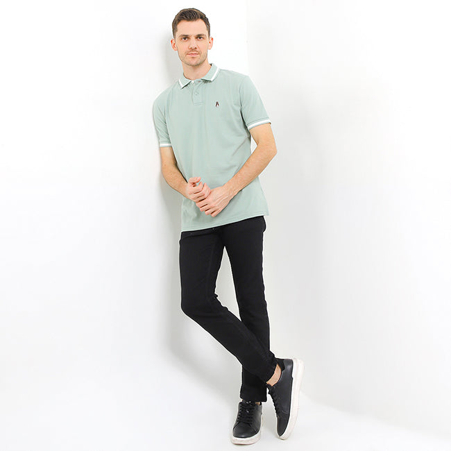 Arion 3 In Sage