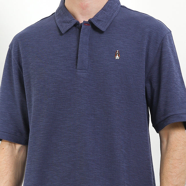 Polo Zeno
