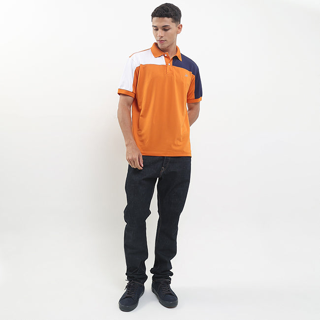 Polo Draco