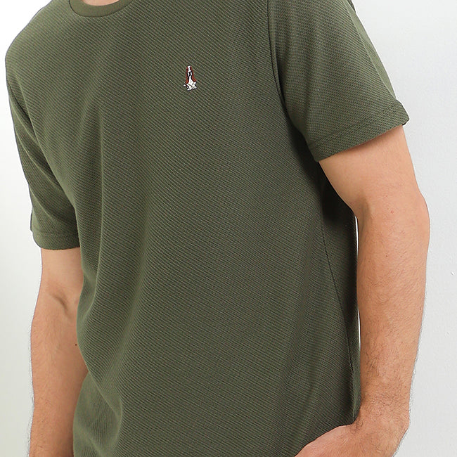 Bsc Textura In Olive