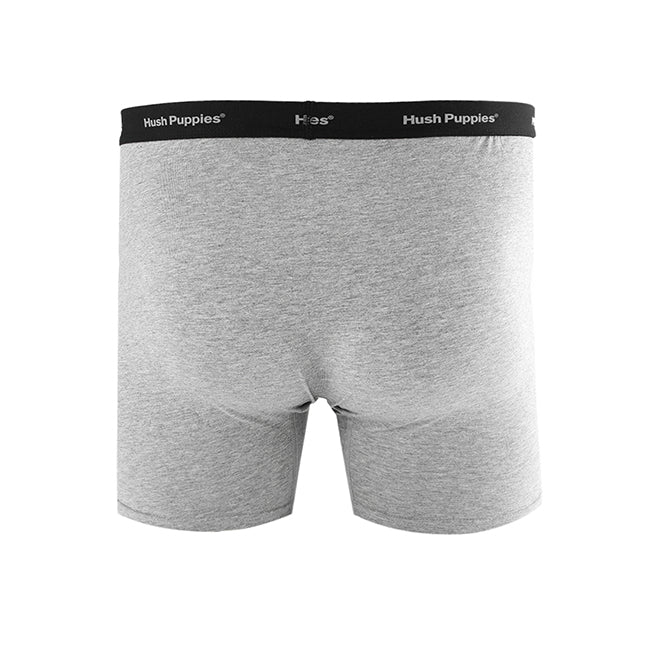 Boxer Harry Bx Trunk In Bk/Gy