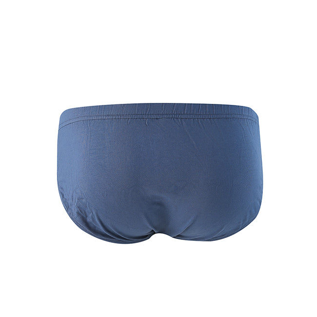 Harry Cv Brief In Nv/Gy