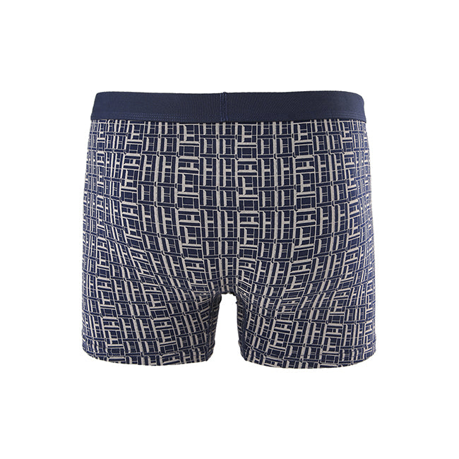 Brics Trunk In Navy/Gray