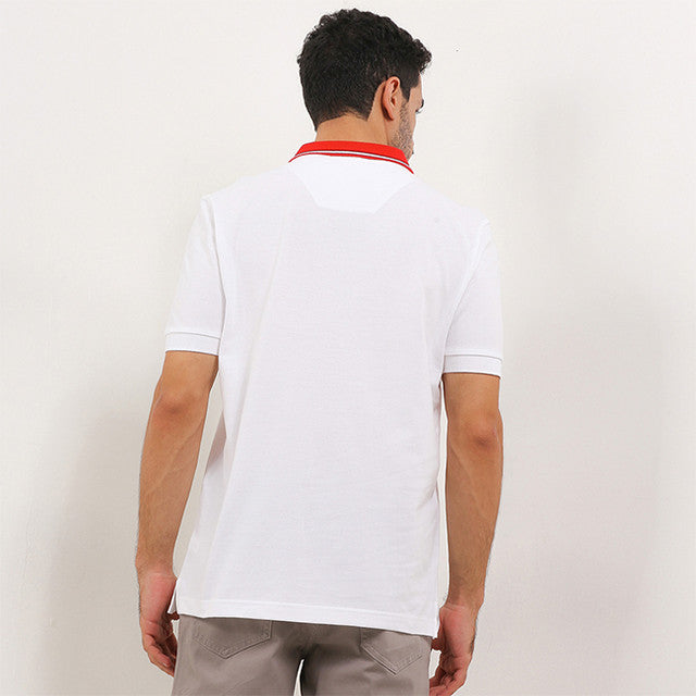Jelt In White