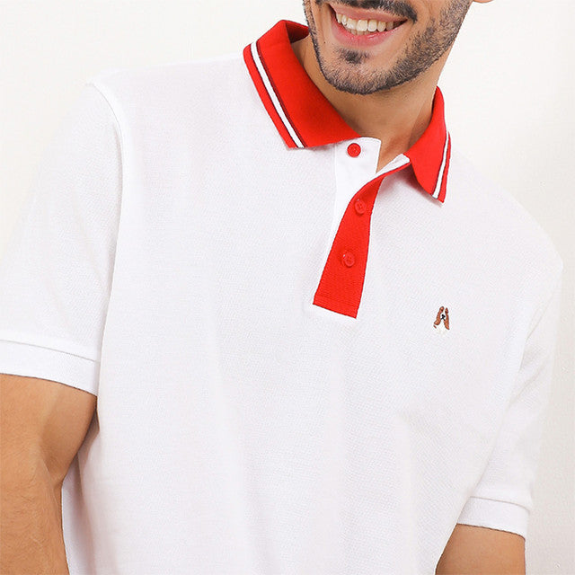 Jelt In White