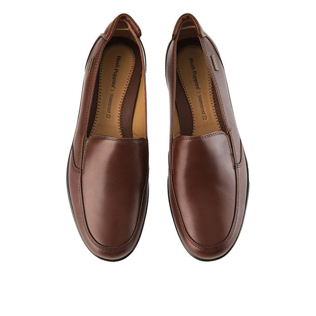 Visca In Brown