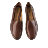 Visca In Brown