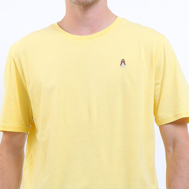 Adhesh 4 In Yellow