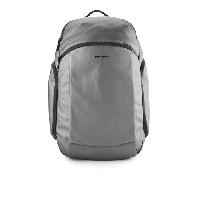 Ash Backpack In Silver