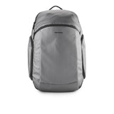 Ash Backpack In Silver