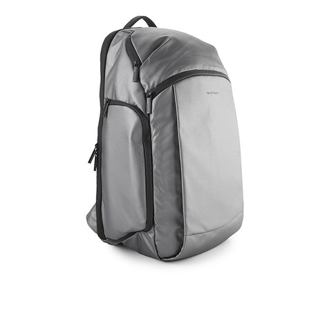 Ash Backpack In Silver