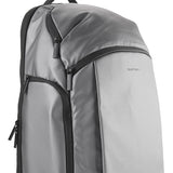 Ash Backpack In Silver