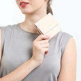 Short Wallet Ace Bi Fold Wlt