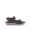 Activate Qtr Strap In Dark Brown Leather