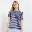Bsc Aurory In Navy