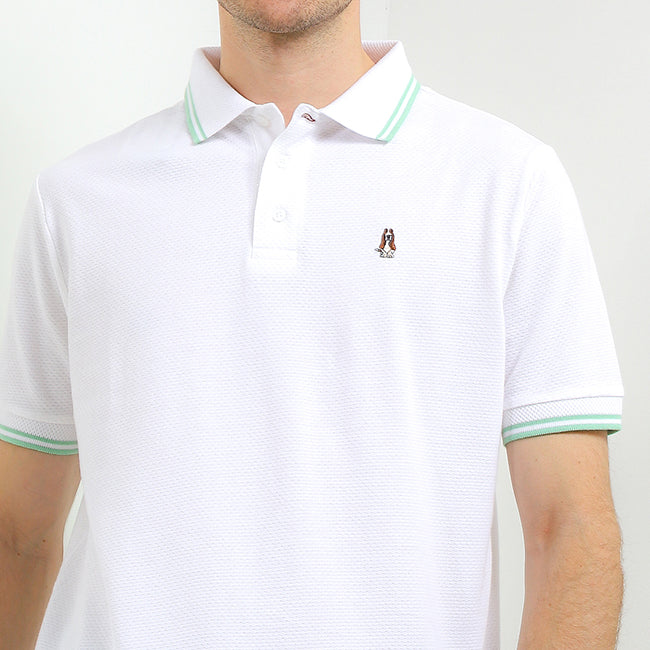 Polo Nefud In White