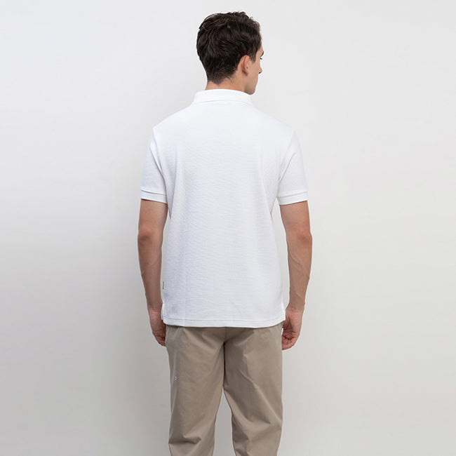 Polo 955 Allume