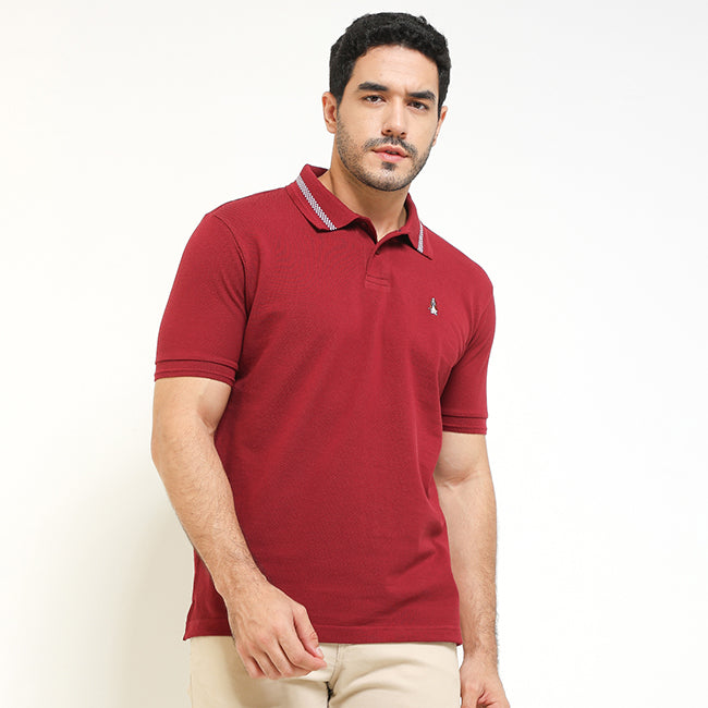 Polo Clapton