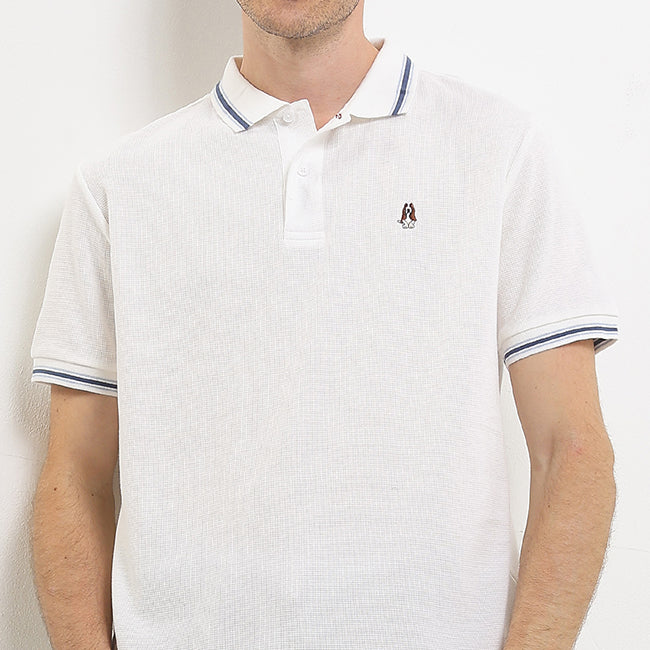 Polo Samara