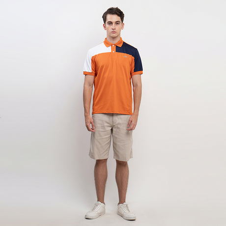 Polo Draco