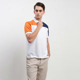 Polo Draco