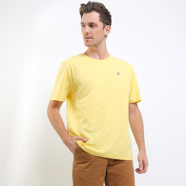 Adhesh 4 In Yellow