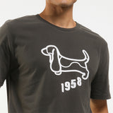 Hund In Black