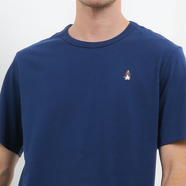 Bsc Sandwich In Navy